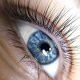 Nahaufnahme eines blauen Auges mit hochgezogenen Wimpern