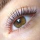 Nahaufnahme eines braunen Auges mit hochgezogenen Wimpern